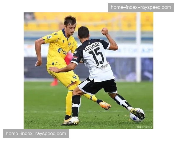 赛场花絮：维罗纳对阵萨索洛因球迷烟火中断十分钟